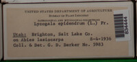Image Associated With the Occurence